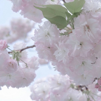 山阳FurryQQ群介绍